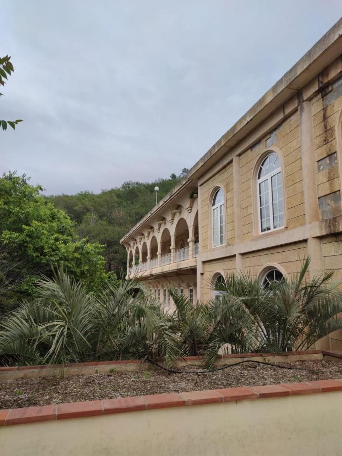 Joli Studio Du Vallespir Amélie-les-Bains-Palalda Exteriör bild